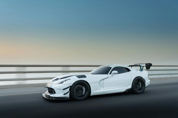 ¿Cómo proteger las patas de mi perro en climas muy calurosos o fríos?